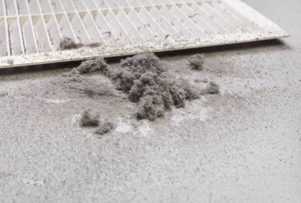 Best Ductwork Cleaning Services  in Westover, AL