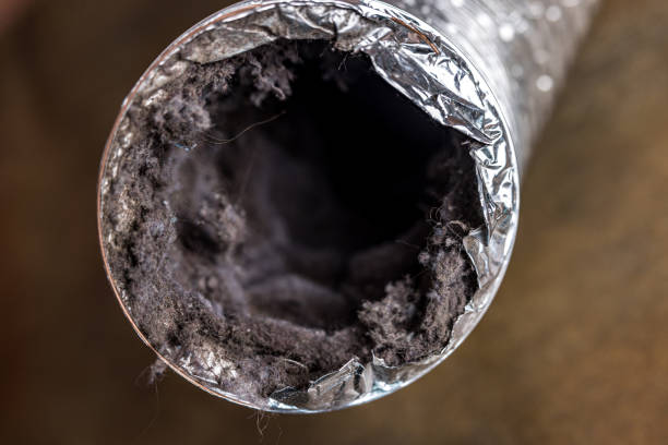 Best Emergency Air Duct Cleaning  in Westover, AL